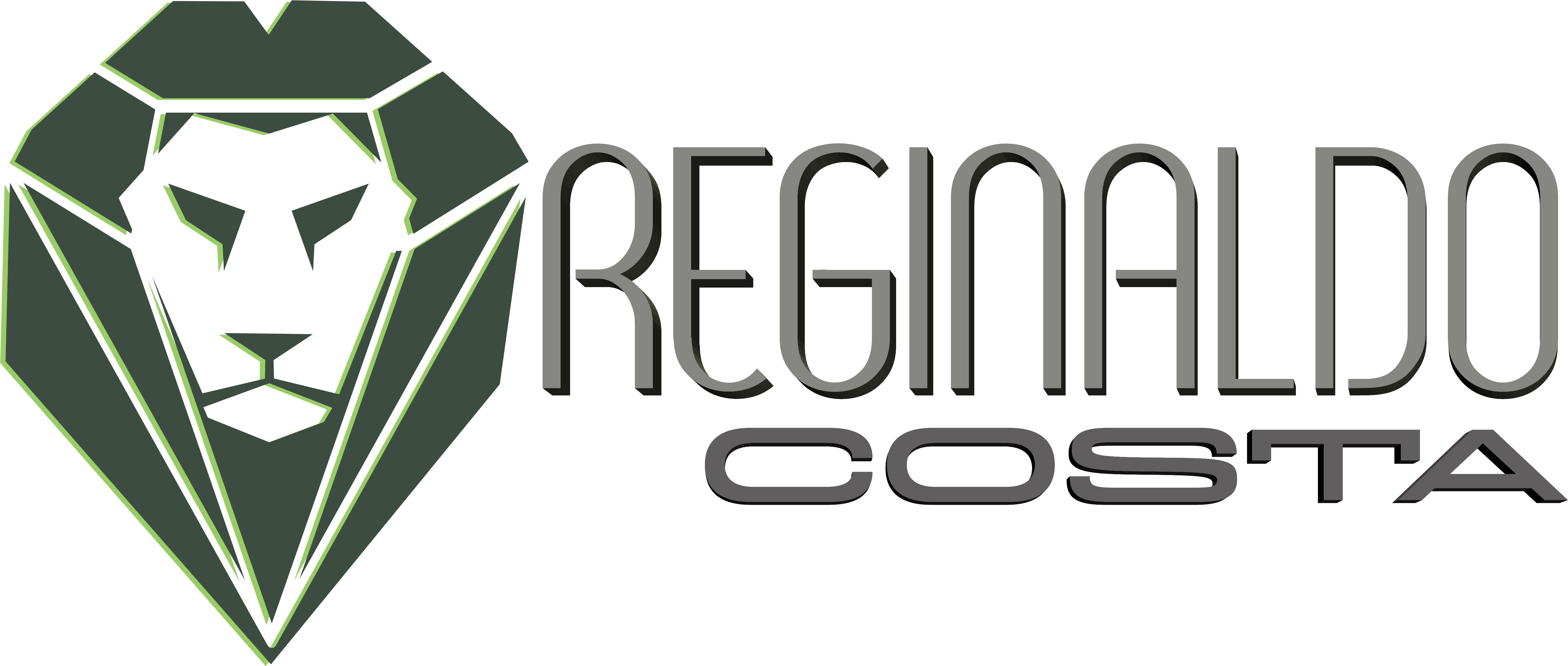 Reginaldo Costa CEO